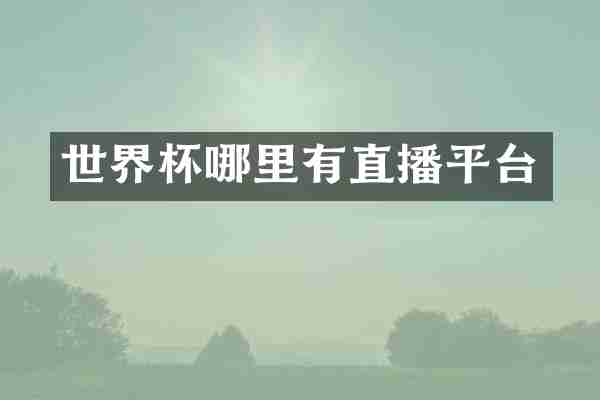 世界杯哪里有直播平台
