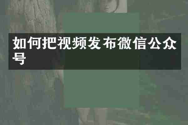 如何把视频发布微信公众号