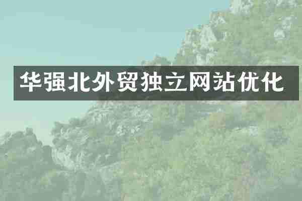 华强北外贸独立网站优化