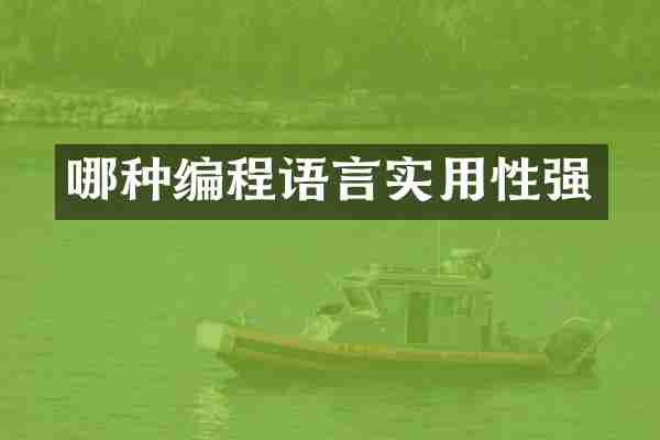 哪种编程语言实用性强
