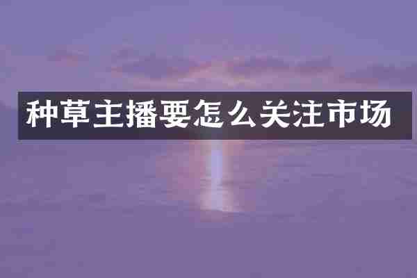 种草主播要怎么关注市场