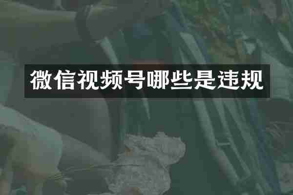 微信视频号哪些是违规