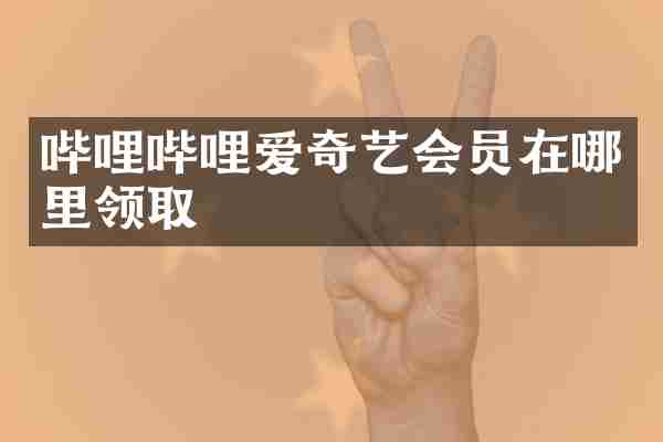 哔哩哔哩爱奇艺会员在哪里领取