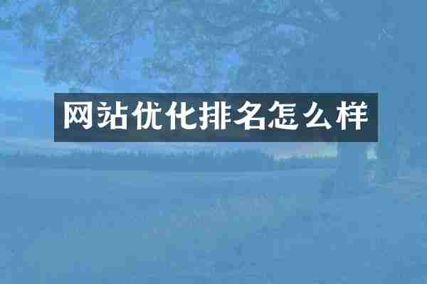 网站优化排名怎么样