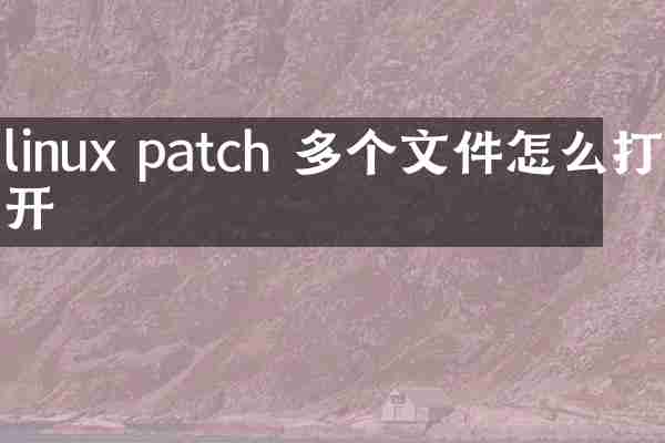 linux patch 多个文件怎么打开