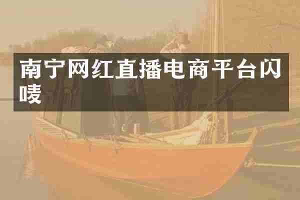 南宁网红直播电商平台闪唛