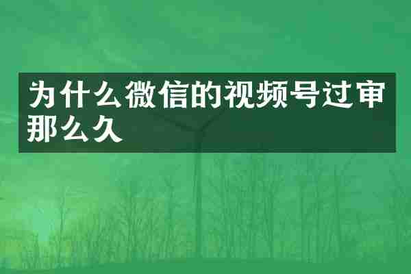 为什么微信的视频号过审那么久