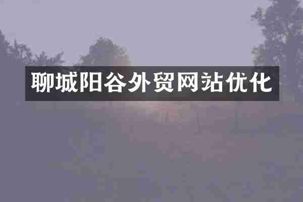 聊城阳谷外贸网站优化