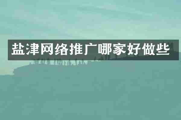 盐津网络推广哪家好做些