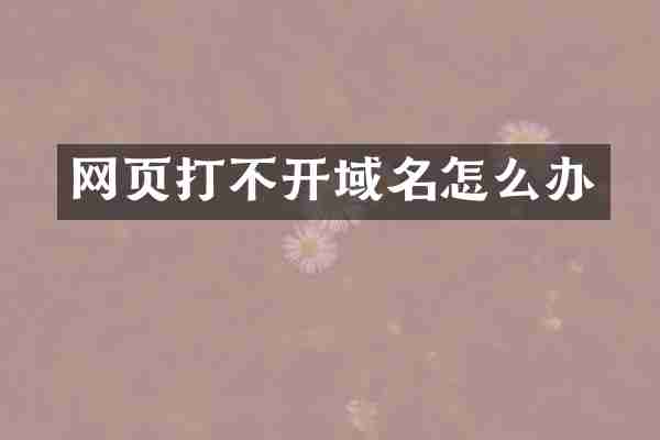网页打不开域名怎么办