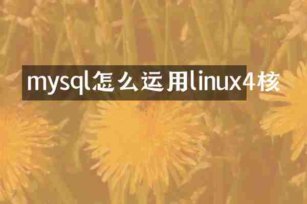 mysql怎么运用linux4核