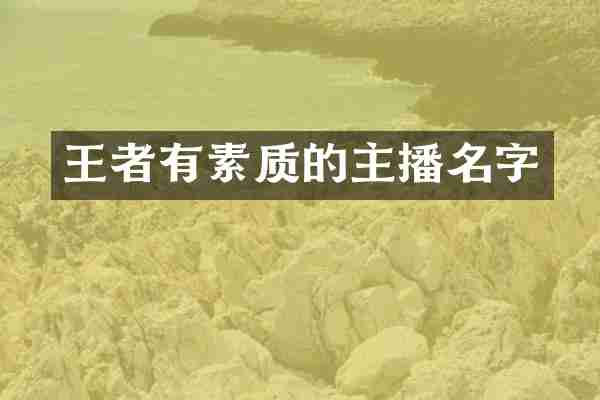 王者有素质的主播名字