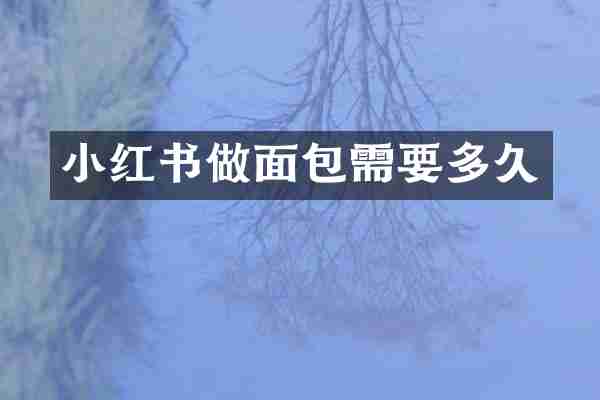 小红书做面包需要多久
