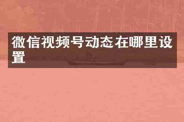 微信视频号动态在哪里设置