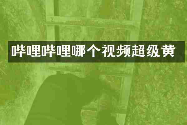 哔哩哔哩哪个视频超级黄
