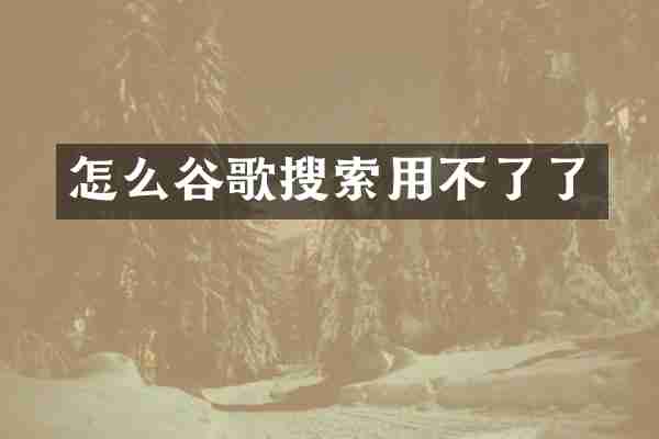 怎么谷歌搜索用不了了