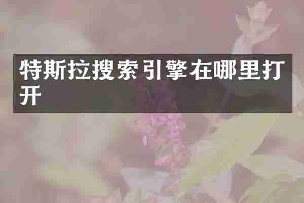 特斯拉搜索引擎在哪里打开