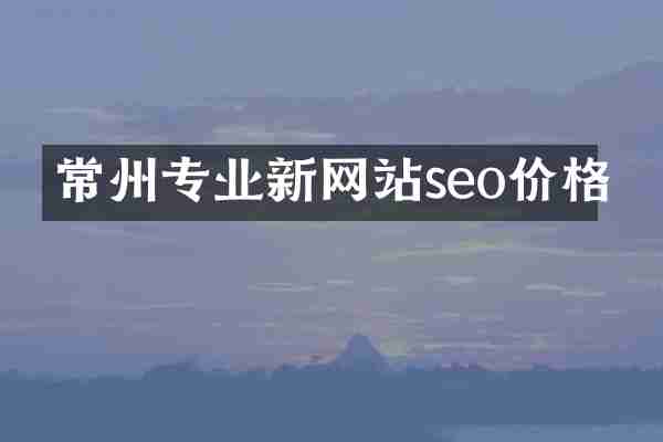 常州专业新网站seo价格