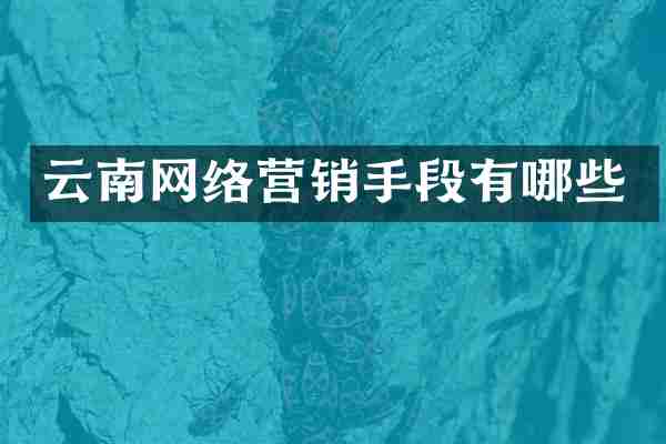 云南网络营销手段有哪些