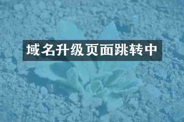 域名升级页面跳转中