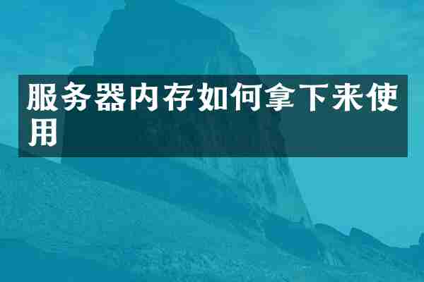 服务器内存如何拿下来使用