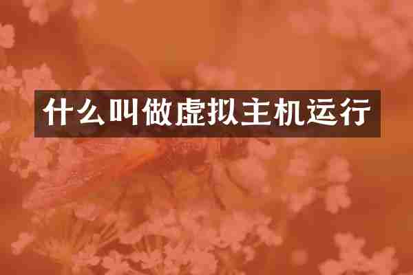什么叫做虚拟主机运行