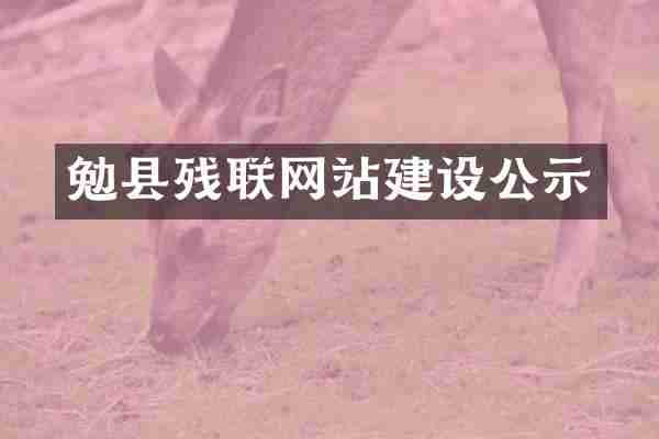 勉县残联网站建设公示