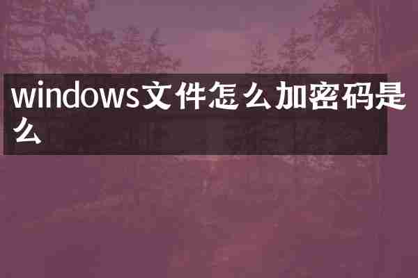 windows文件怎么加密码是什么