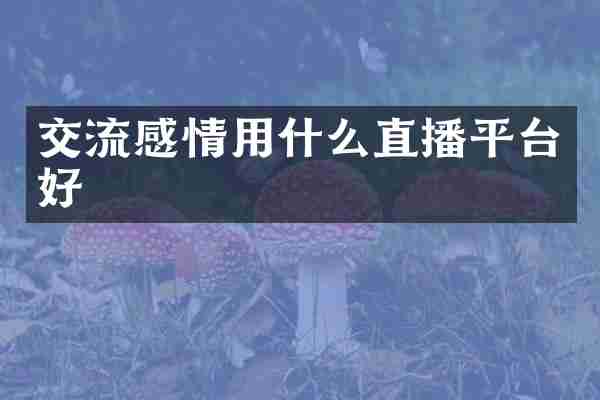 交流感情用什么直播平台好