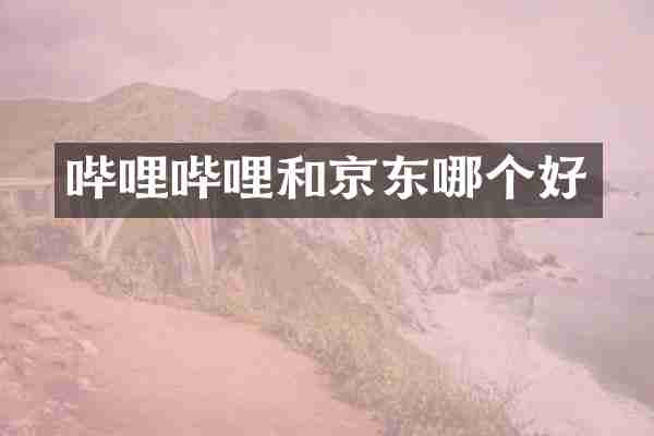 哔哩哔哩和京东哪个好