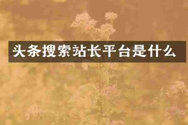 头条搜索站长平台是什么
