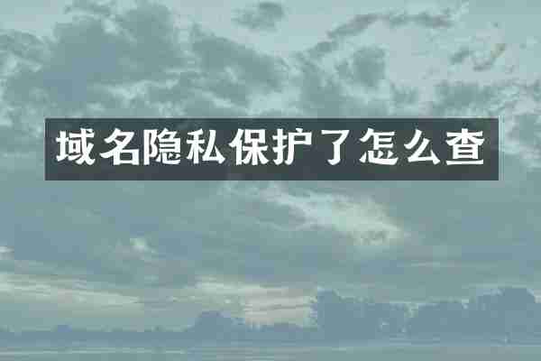 域名隐私保护了怎么查