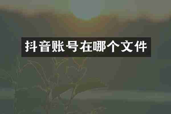 抖音账号在哪个文件