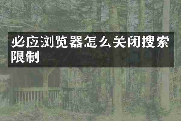 必应浏览器怎么关闭搜索限制