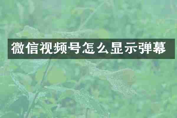 微信视频号怎么显示弹幕