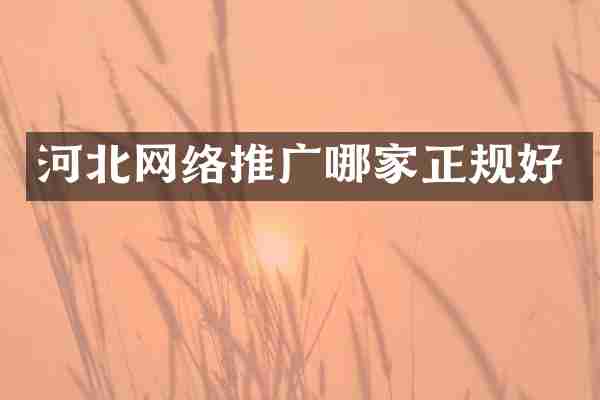河北网络推广哪家正规好