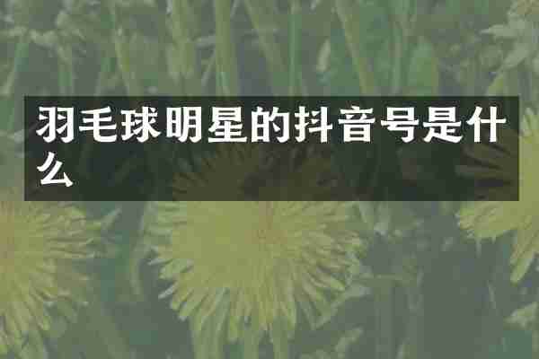 羽毛球明星的抖音号是什么