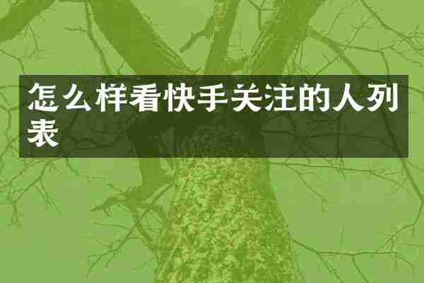 怎么样看快手关注的人列表