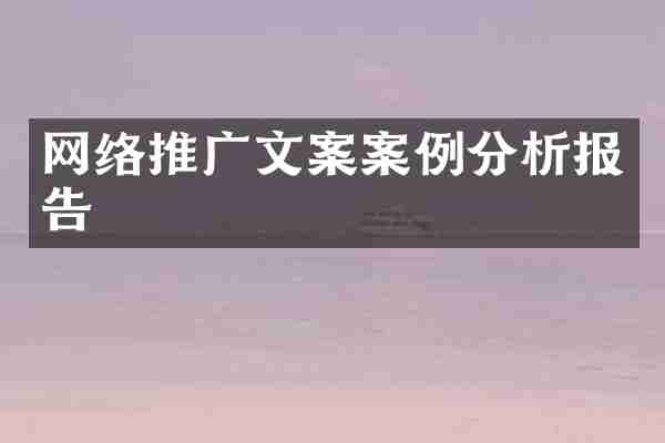 网络推广文案案例分析报告
