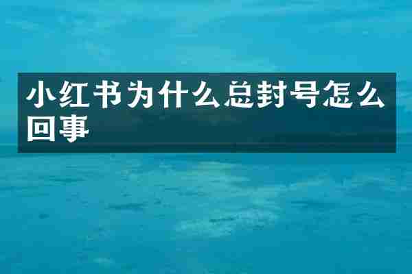 小红书为什么总封号怎么回事