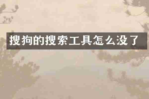 搜狗的搜索工具怎么没了