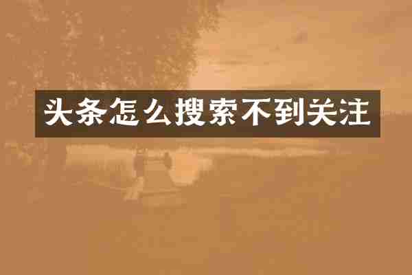 头条怎么搜索不到关注