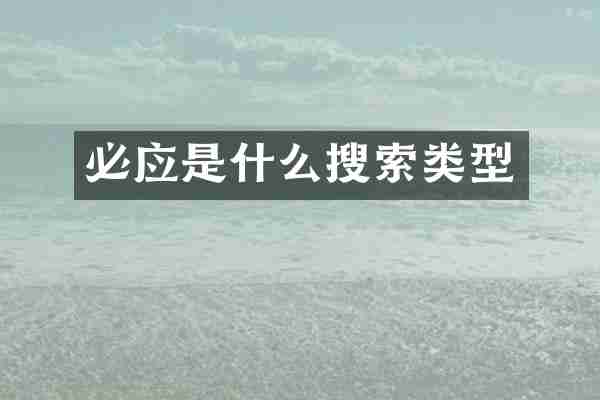 必应是什么搜索类型