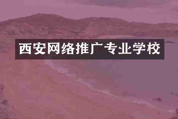 西安网络推广专业学校