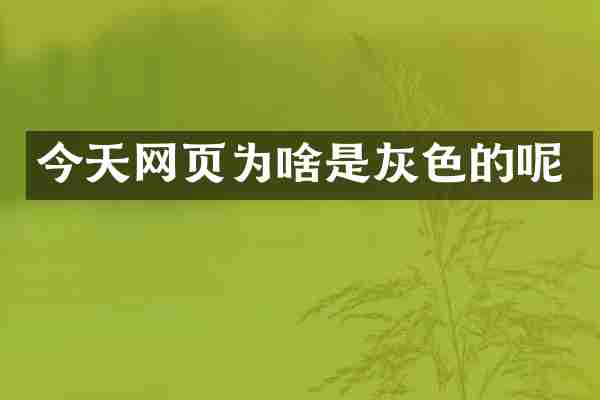 今天网页为啥是灰色的呢