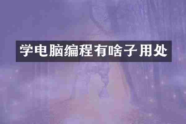 学电脑编程有啥子用处