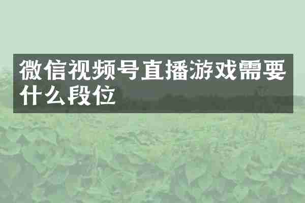 微信视频号直播游戏需要什么段位