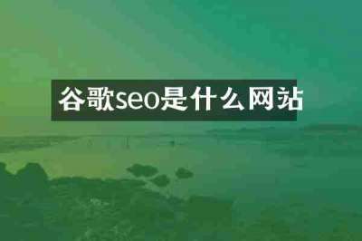 谷歌seo是什么网站