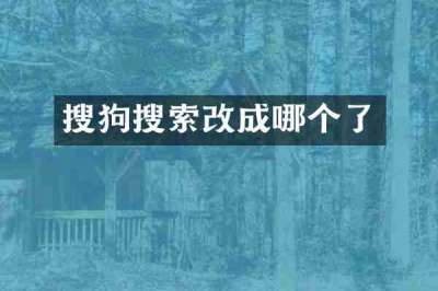 搜狗搜索改成哪个了