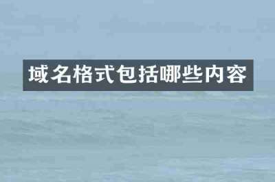 域名格式包括哪些内容